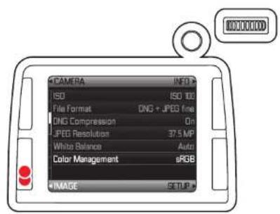 CAMERA INFO ISO ISO 100 File Format DNO + JPEG free DNO Compression On JPEG Resolution 37.5 MP White Balance Auto Color Management sRGB IMAGE SELIP