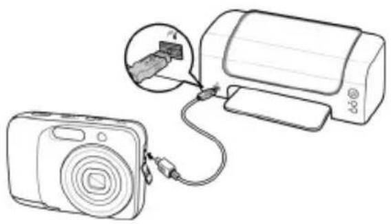 MEDION Life E43012 (MD 86389) - Aufnahmen auf einem Fotodrucker ausdrucken - 1