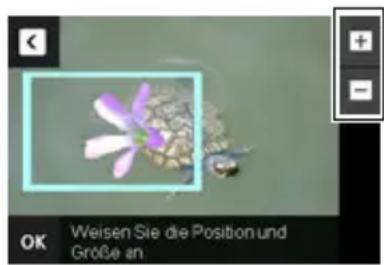 OK Weisen Sie die Position und Größe an
