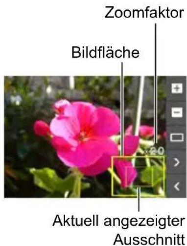 Zoomfaktor Bildfläche Aktuell angezeigter Ausschnitt