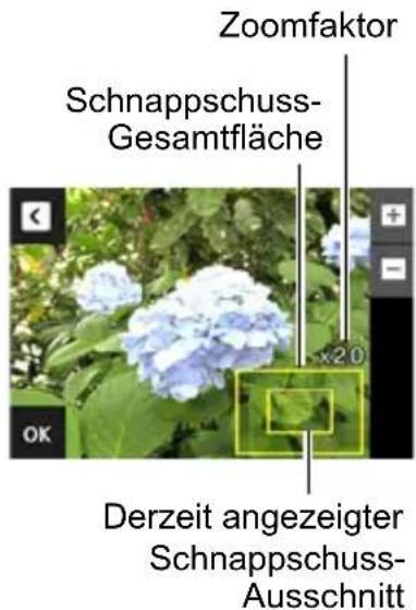 Zoomfaktor Schnappschuss- Gesamtfläche x20 Derzeit angezeigter Schnappschuss- Ausschnitt