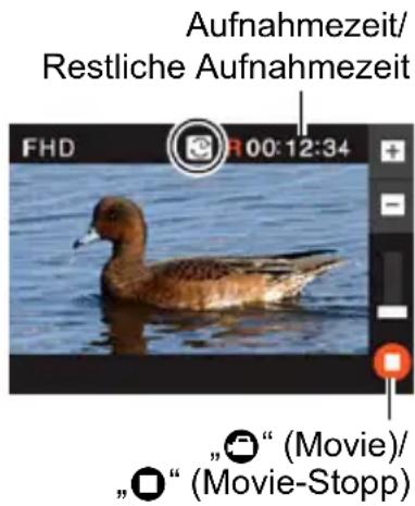 Aufnahmezeit/ Restliche Aufnahmezeit FHD R 00:12:34 "☐" (Movie)/ "☐" (Movie-Stopp)