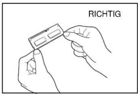Utax P-C6030DN - Hinweise zur Handhabung der Hauptplatine und der Speichermodule - 1