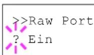 Utax P-C6030DN - RAW-Port Einstellung - 1