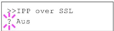 Utax P-C6030DN - IPP over SSL (SSL Server IPP over SSL Einstellung) - 1