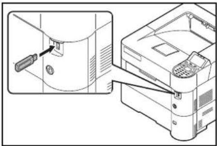 Utax P-4530DN - USB-Speicher - 1