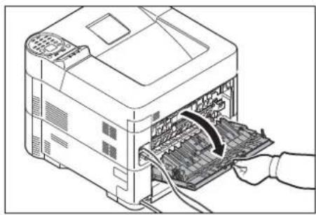 Utax P-4530DN - Hintere Einheit - 1