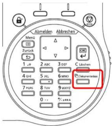 Utax P-4530DN - Dokumentenbox - 1