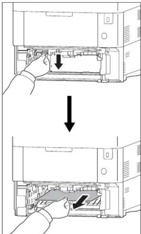 Utax P-4530DN - Duplexeinheit - 1