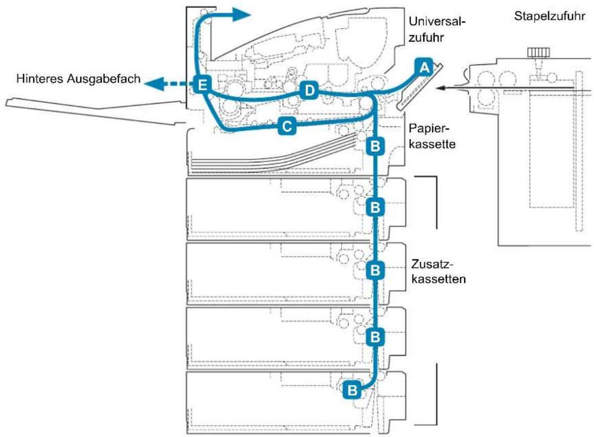 Utax P-4530DN - Mögliche Staubereiche - 1