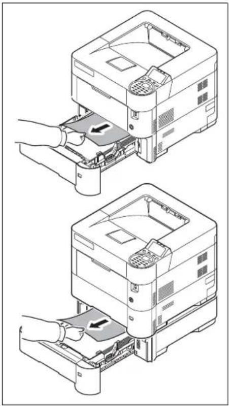 Utax P-4530DN - Kassette/Zusatzkassetten - 1