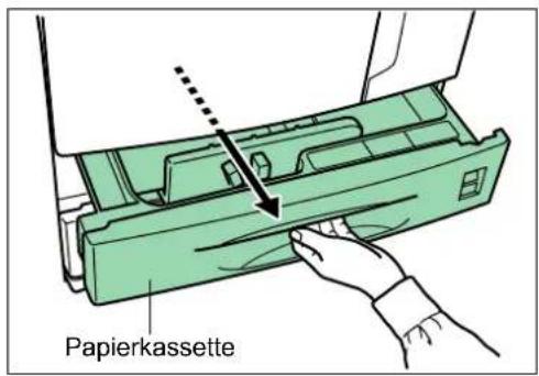 Utax LP-3140 - Papierkassette - 1