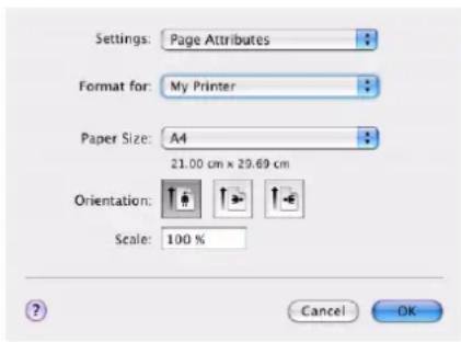 OKI C801 - PAPIERFORMATOPTIONEN - 1
