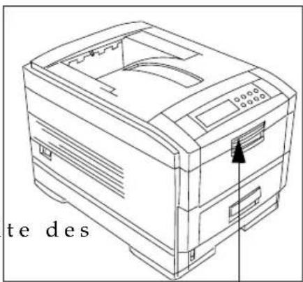 te des