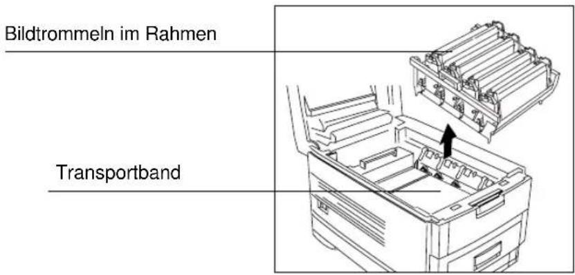 Bildtrommeln im Rahmen Transportband