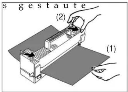 s gestaute (2) (1)