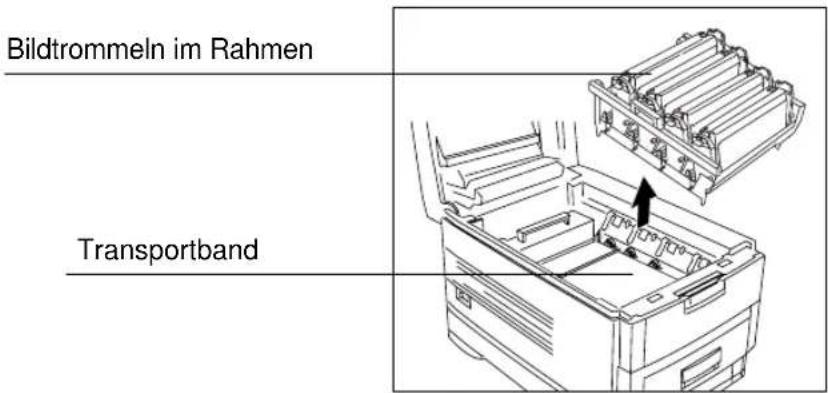 Bildtrommeln im Rahmen Transportband