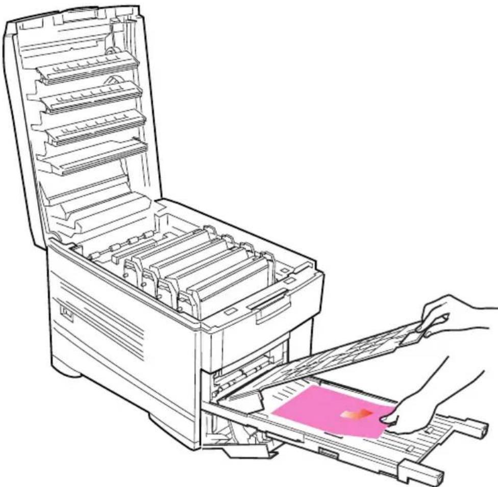 OKI C7350 - IN DER DUPLEXEINHEIT - 2