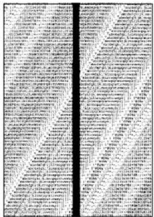 OKI C7200 - Der Ausdruck wird schwächer, die Zeichen wirken unscharf. - 2