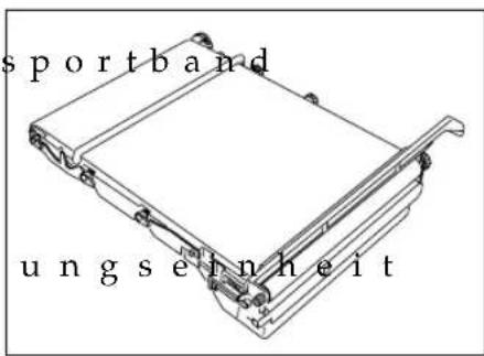 sportband ungseinheit