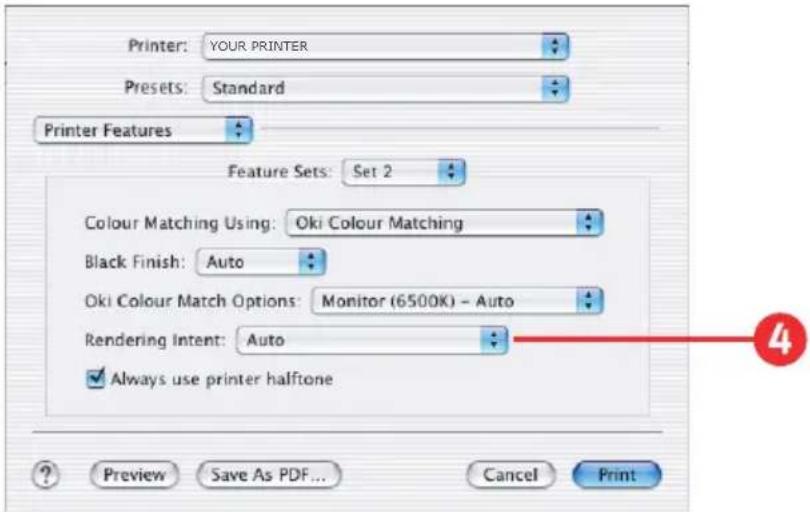 OKI C5300n - Rendering Intent - 1