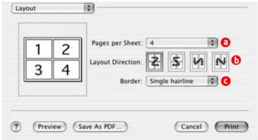 OKI C5300n - MULTIPLE PAGES ON ONE SHEET - 1