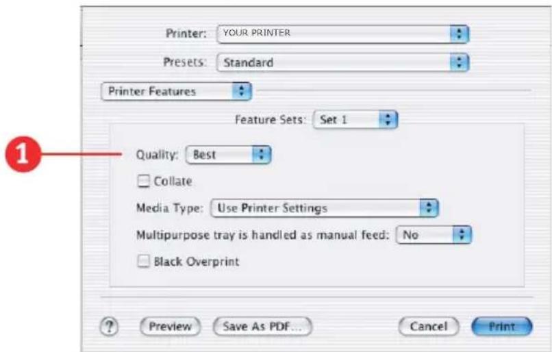 OKI C5300n - Feature Set 1 - 1