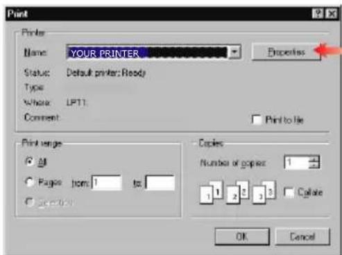 OKI C5300n - PRINTING PREFERENCES IN WINDOWS APPLICATIONS - 1