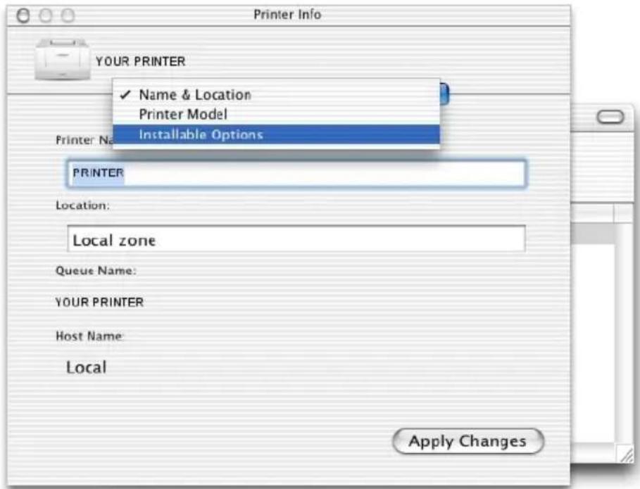 OKI C5300n - From the menu, select Installable Options. - 1