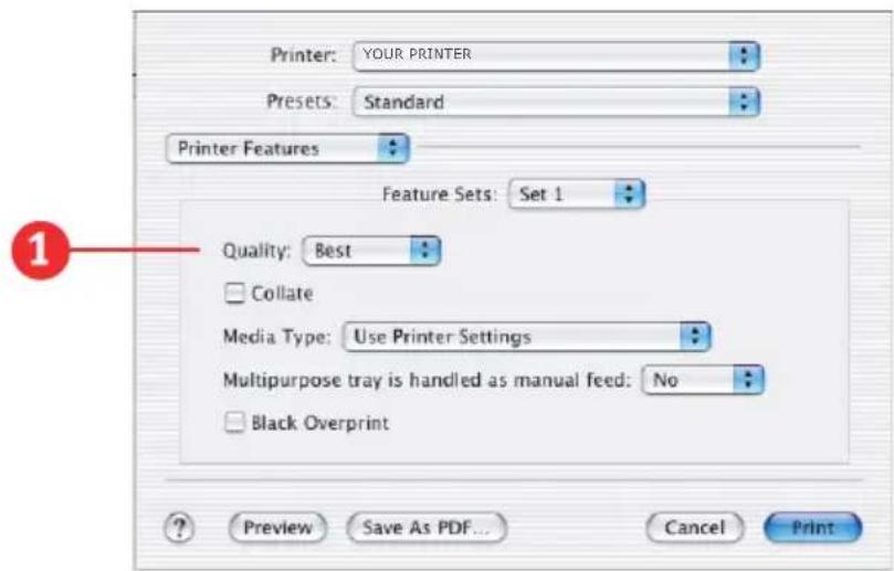 OKI C5300n - Feature Set 1 - 1