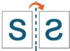 S 2
