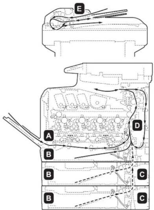 Triumph-Adler P-C2665 MFP - Papierstaus beseitigen - 1