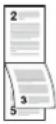 Triumph-Adler P-C2660 MFP - Duplex - 3