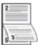 Triumph-Adler P-C2660 MFP - Duplex - 2