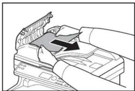 Triumph-Adler P-C2660 MFP - Vorlageneinzug - 3