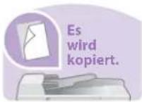 Triumph-Adler P-C2665 i MFP - Schnelleinstieg - 1