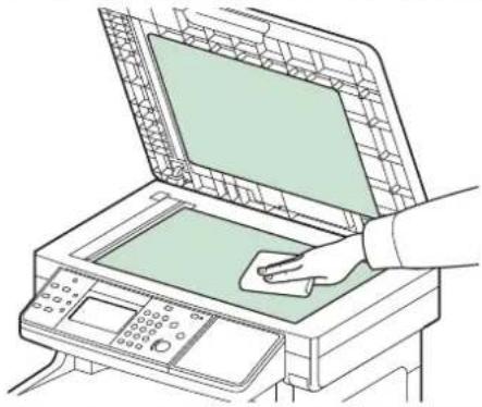 Triumph-Adler P-C2660 i MFP - Vorlagenglas - 1