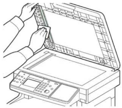 Triumph-Adler P-C2660 i MFP - Weiße Führung reinigen. - 1