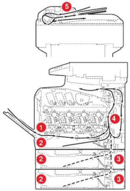 Triumph-Adler P-C2660 i MFP - Position des Papierstaus - 1