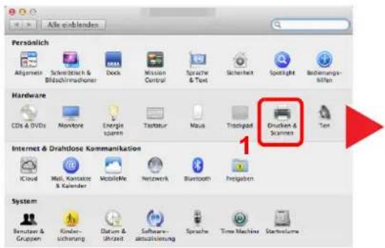 Triumph-Adler P-4025w MFP - Drucker konfigurieren. - 1