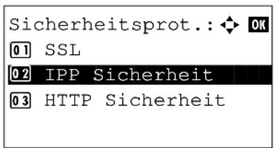 Triumph-Adler P-3020 MFP - IPP Sicherheit - 5