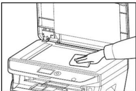 Triumph-Adler P-3020 MFP - Vorlagenglas - 1