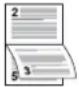 Triumph-Adler DCC 2970 - Duplex - 2