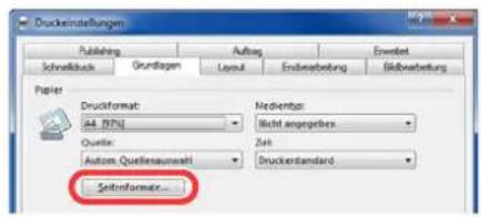 Triumph-Adler DCC 2965 - Bannerdruck - 1