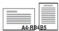 Triumph-Adler DCC 2965 - B4, A4-R und B5 - 2