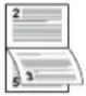 Triumph-Adler DCC 2965 - Duplex - 2