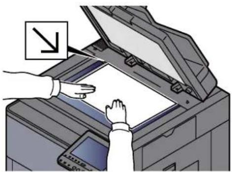 Triumph-Adler 8056i - → Printing System Driver User Guide - 6