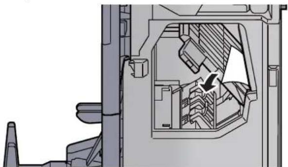 Triumph-Adler 8056i - Papierführung (D7) öffnen. - 5