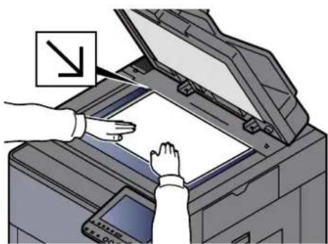 Triumph-Adler 8056i - → Printing System Driver User Guide - 5