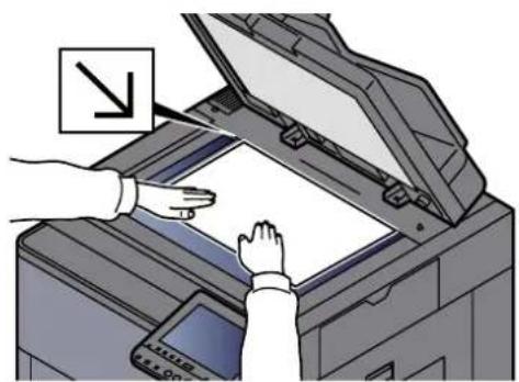 Triumph-Adler 8056i - → Printing System Driver User Guide - 9